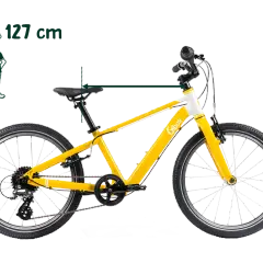 20 Zoll Fahrrad: Welches ist das Beste für mein Kind? Expertentipps
