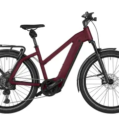 Riese & Müller Fahrräder: Premium E-Bikes Lohnt sich die Investition?