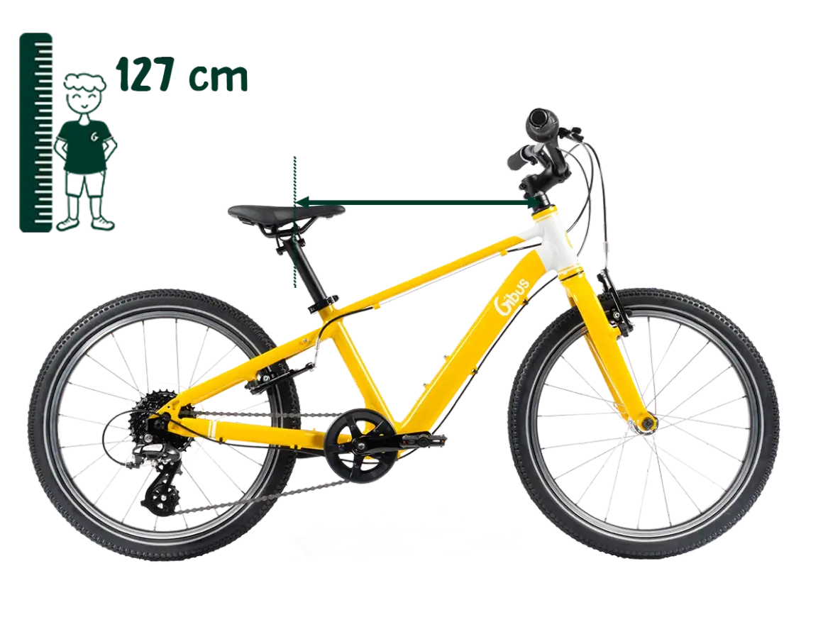 20 Zoll Fahrrad: Welches ist das Beste für mein Kind? Expertentipps
